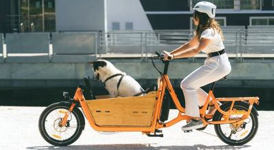 Pourquoi choisir un vélo cargo électrique d'occasion ?