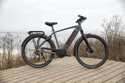 Comparatif de vélos électriques hollandais